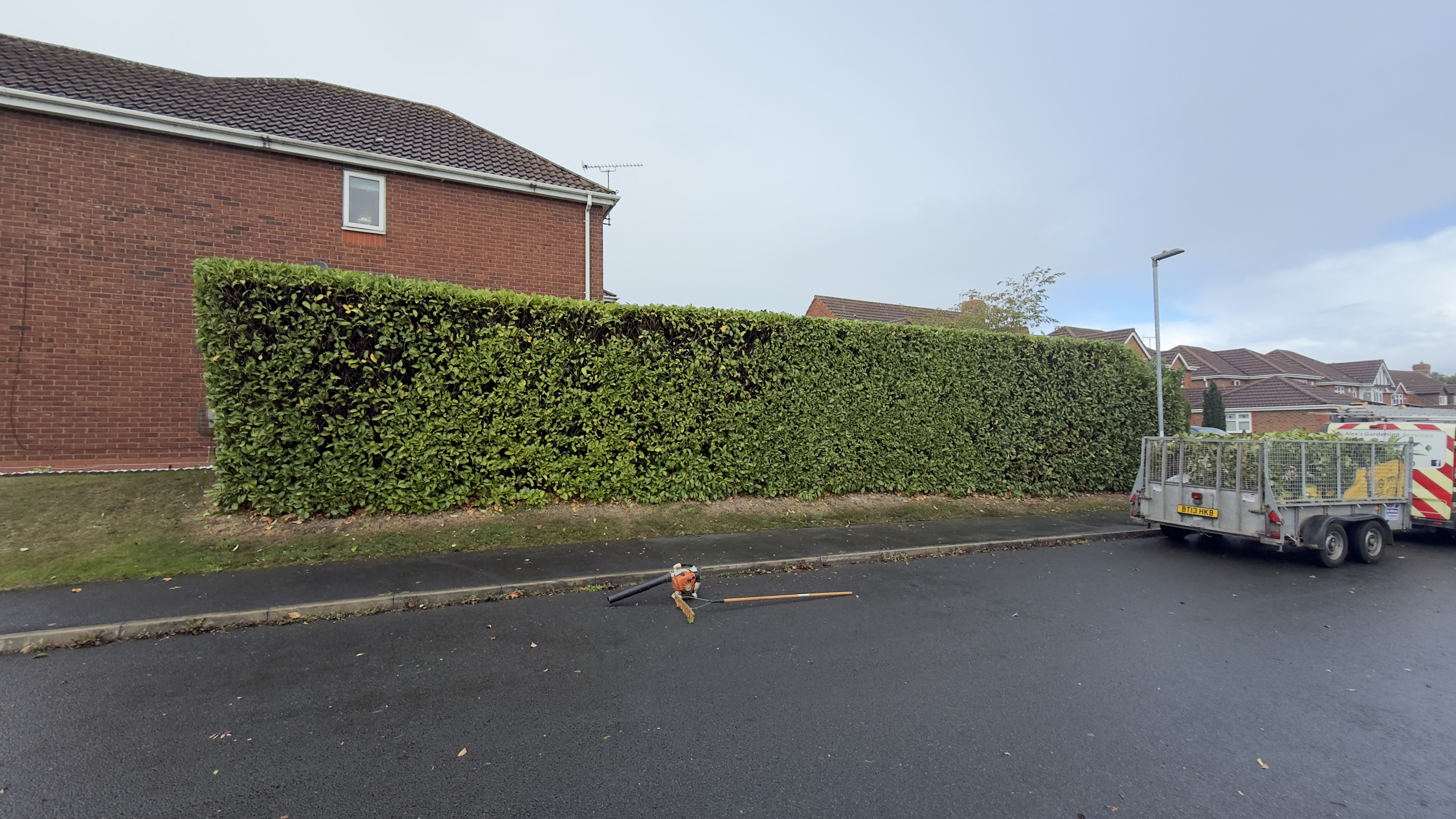 Hedges