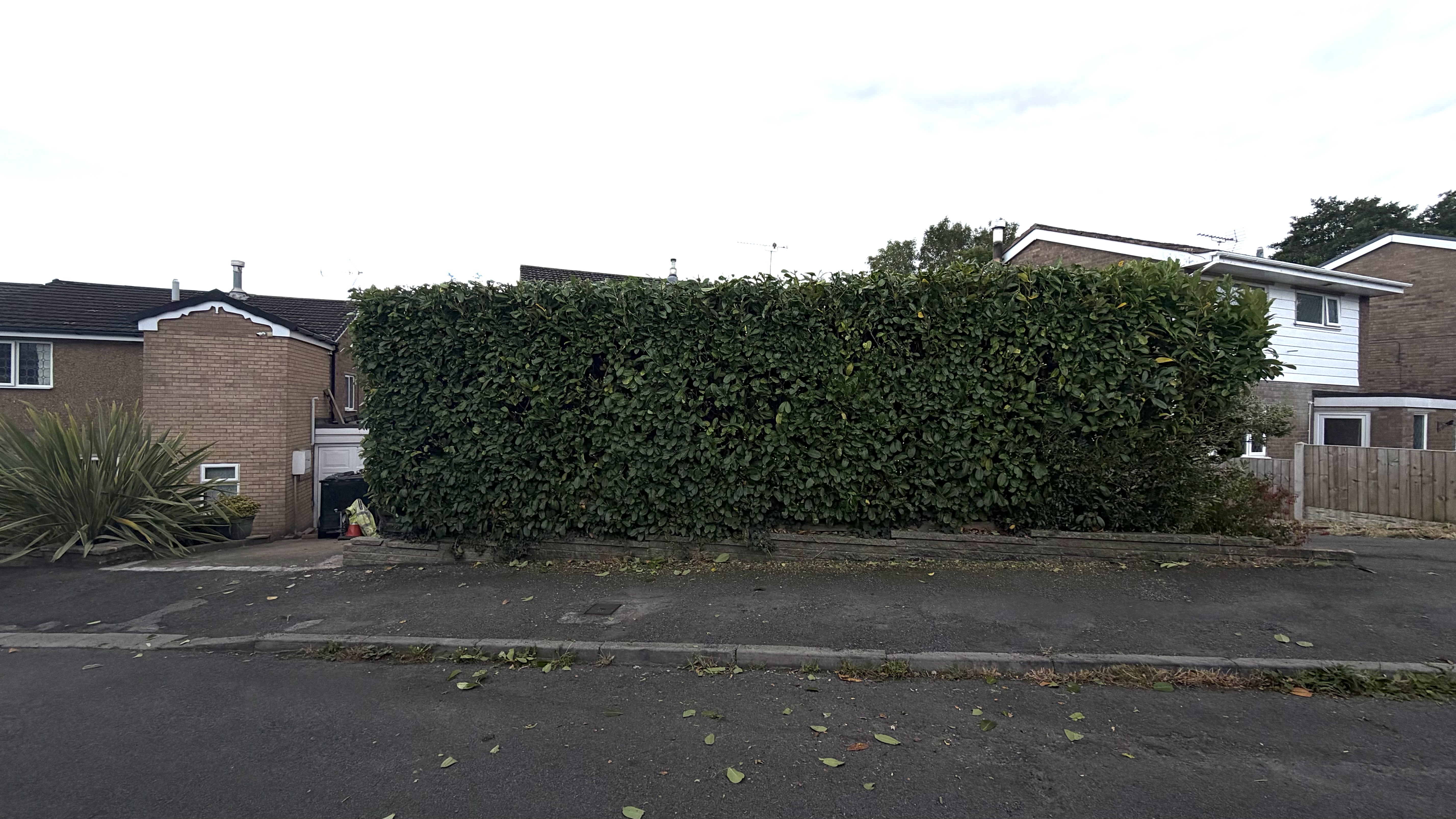 Hedges