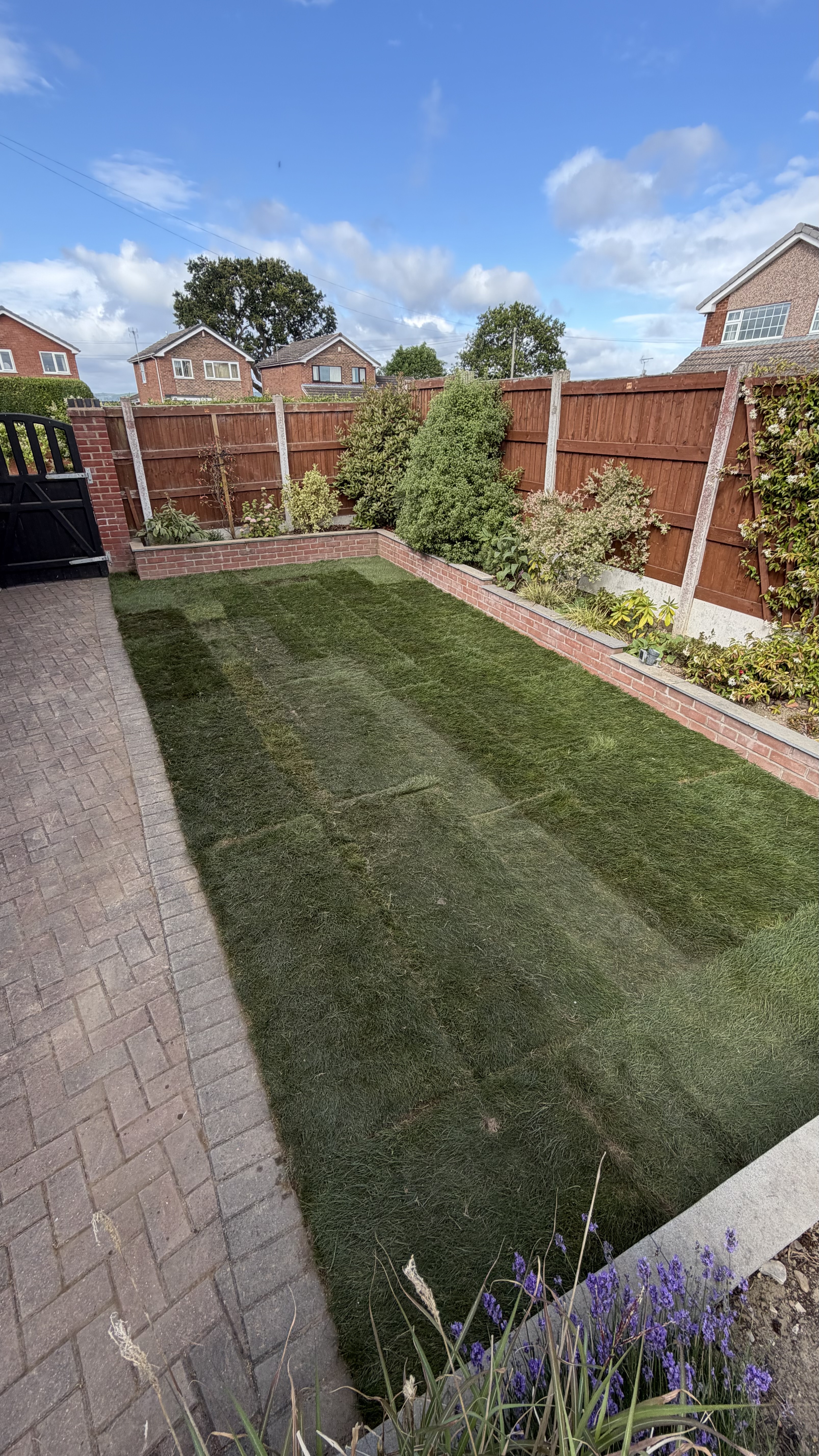 Turf and drainage